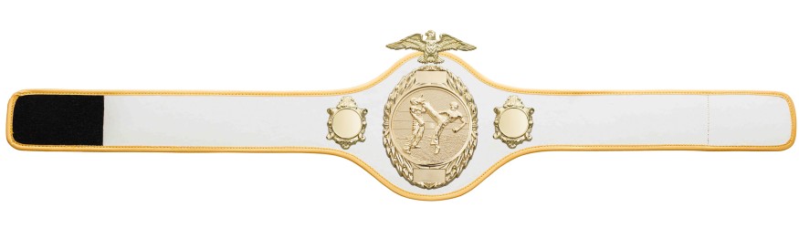 KICKBOXING CHAMPIONSHIP BELT-PRO288/G/KBOG - 10 COLOURS KICKBOXING CHAMPIONSHIP BELT-PRO288/G/KBOG - 10 COLOURS
